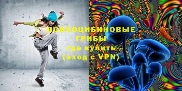 эйфоретик Новокубанск